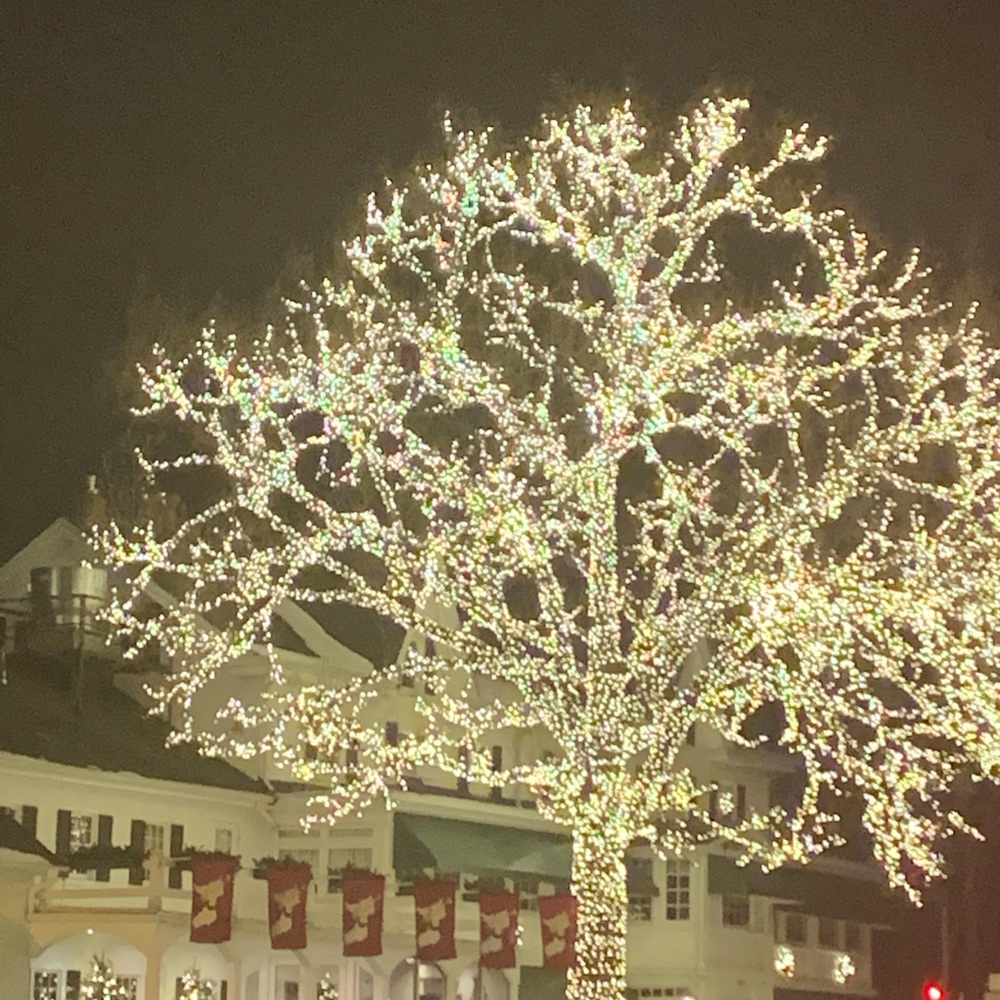 Meet your Posher, Diane